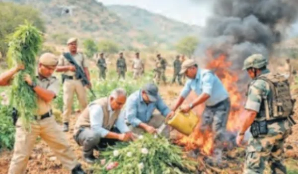 अवैध खेती की तो सरकारी योजनाओं से वंचित होंगे दोषी