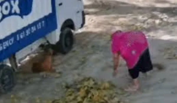 बुजुर्ग महिला का चेहरा नोचा, बच्चे समेत तीन पर हमला