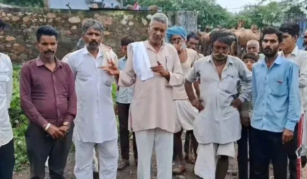 पैंथर ने किया ऊंट के दो बच्चों का शिकार, लोगों में भय