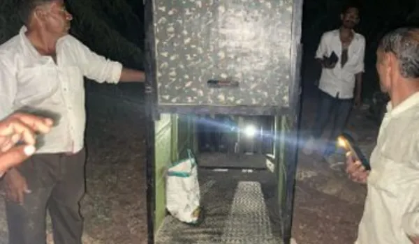 लेपर्ड ने गाय-नीलगाय का किया शिकार