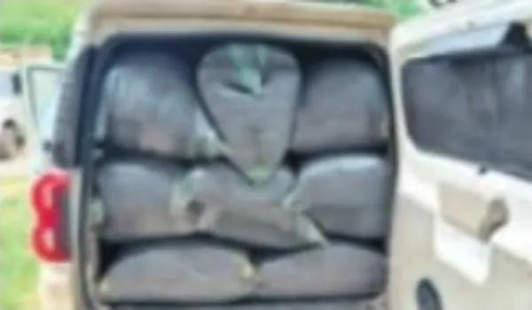 स्कॉर्पियो से 451 किलो डोडा चूरा जब्त, 1 अरेस्ट