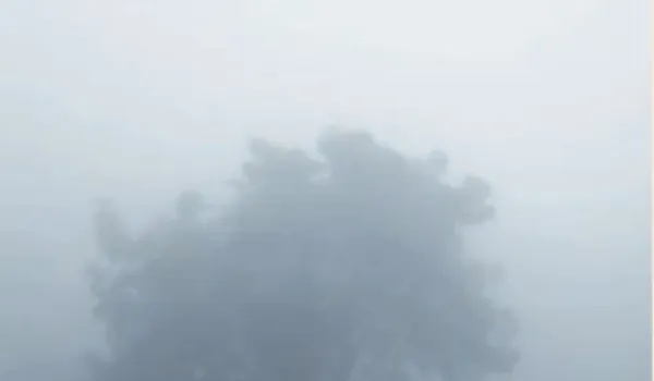 घने कोहरे में लिपटा उत्तरी राजस्थान, विजिबिलिटी शून्य के करीब