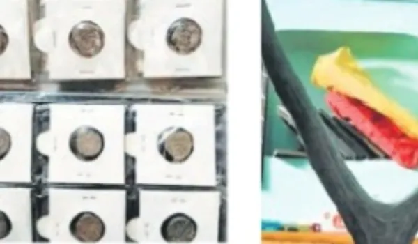 वन्यजीवों के अवशेष-पुरामहत्व की सामग्री बरामद, आरोपी अरेस्ट