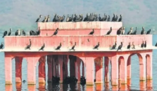 प्रदेश में कड़ाके की सर्दी... आठ शहरों में पारा पांच डिग्री से नीचे