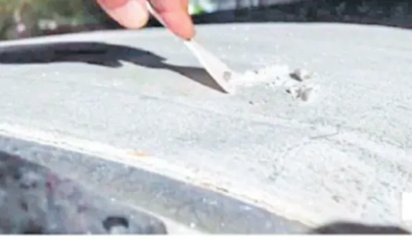 नए साल पर जयपुर सहित प्रदेश के कई जिलों में होगी मावठ