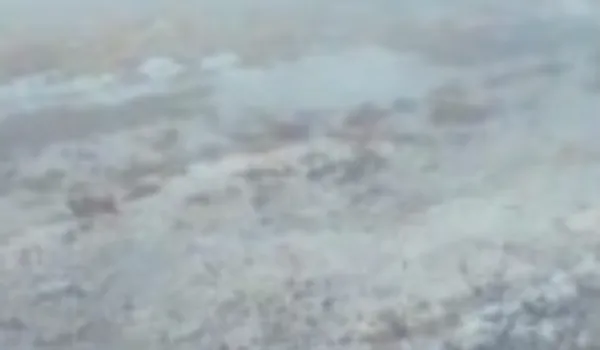 बारिश, ओले और कोहरे ने बढ़ाई सर्दी