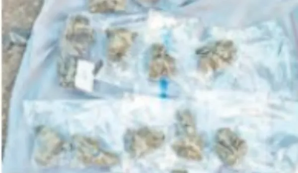 80 लाख के विदेशी गांजे के साथ 3 अरेस्ट