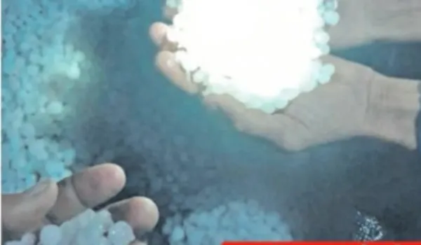 बीकानेर में ओले गिरे... कई जिलों में बारिश, आज भीगेगा जयपुर