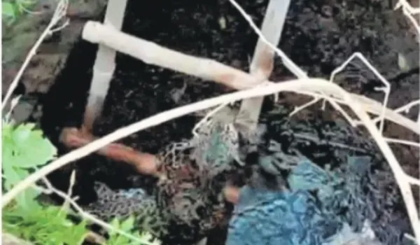 कुएं में गिरा पैंथर, रेस्क्यू टीम ने एक घंटे में निकाला