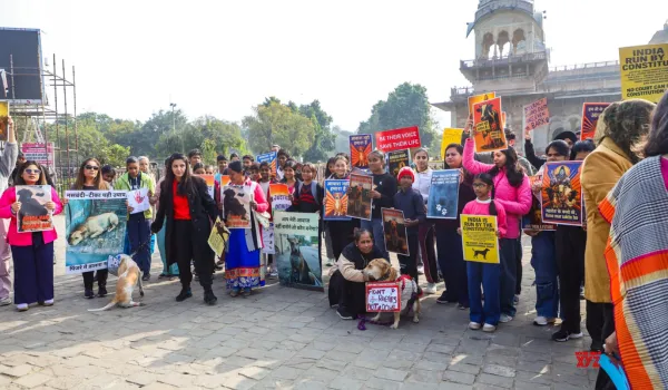 अल्बर्ट हॉल: पशुओं के साथ इंसाफ की मांग