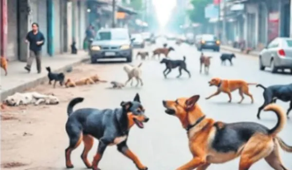 जयपुर के सार्वजनिक स्थान होंगे अब श्वान मुक्त