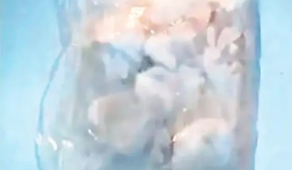 बॉर्डर पर एक पैकेट में मिली ढाई करोड़ की हेरोइन