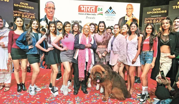 चैंपियन बनने रैंप पर उतरा गब्बर, अफगान हाउंड, फ्रेंच बुलडॉग ने भी की गजब वॉक