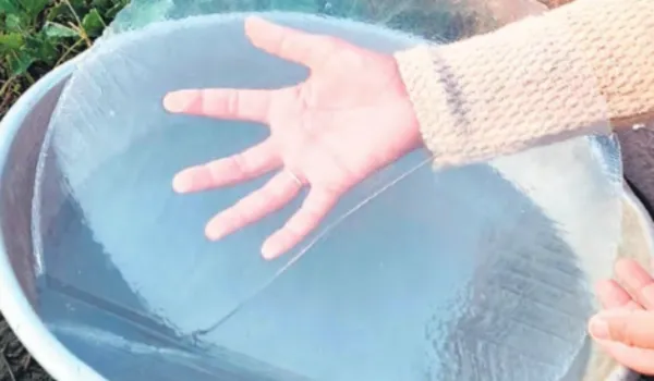 शेखावाटी में जमी बर्फ... 15 शहरों में पारा 5 डिग्री से कम