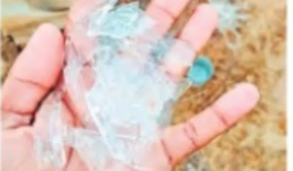 रात में बर्फ जमी... दिन में तीखी धूप ने सर्दी को किया छूमंतर