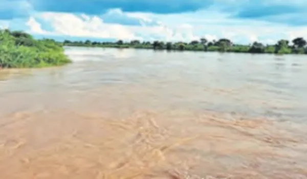 करौली में सिंचाई विभाग की जमीन पर करोड़ों का घोटाला !