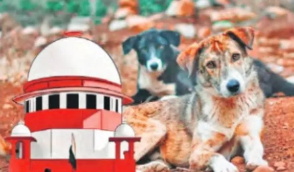 आवारा कुत्तों पर SC की दो-टूकः लापरवाही अब नहीं चलेगी