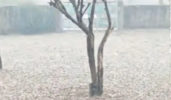 प्रदेश में फिर बदला मौसम... कड़ाके की सर्दी का दौर जारी दो दर्जन जिलों में बारिश-ओलावृष्टि