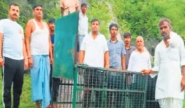 लेपर्ड के मूवमेंट से ग्रामीणों में दहशत