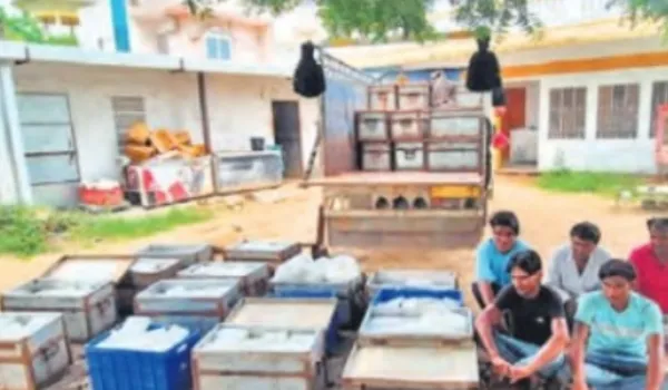 1000 किलो नकली पनीर के साथ 5 अरेस्ट