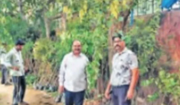 JDA की हरियालो जयपुर मुहिम ने पकड़ी रफ्तार