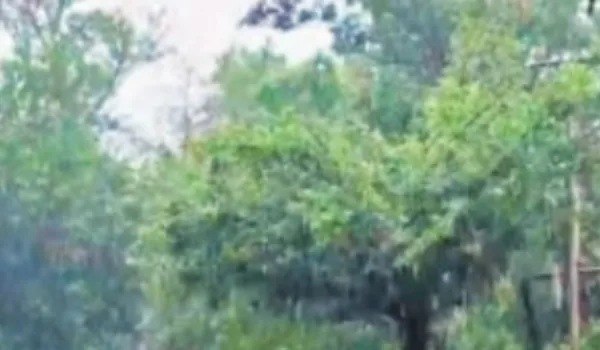 सावन की शुरुआत के साथ ही कई जिलों में झमाझम