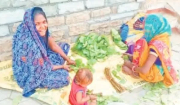 मजदूरों व किसानों के लिए वरदान साबित हो रहा है तेंदू पत्ता