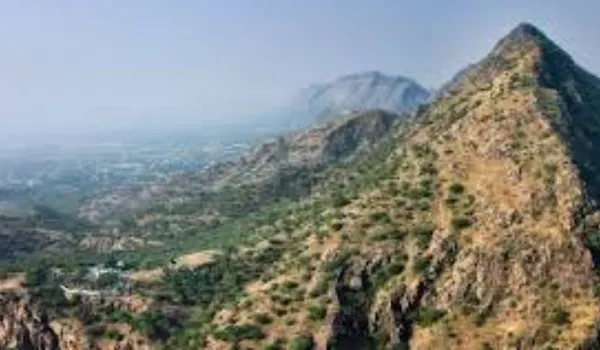 राजस्थान में अरावली पर्वतमाला पर विकसित होगी हरित पट्टी