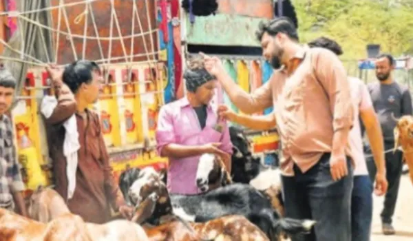 बकरीद पर कुर्बानी आज... ईदगाह में होगी मुख्य नमाज