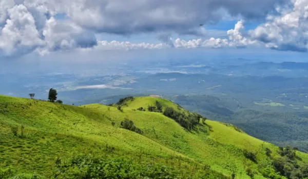 अरावली हरित परियोजनाः प्रथम चरण में 16,053 करोड़ रुपए होंगे खर्च आठ लाख हेक्टेयर में पारिस्थितिकी तंत्र होगा बहाल