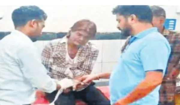 पाली में कुत्ते का आतंक एक घंटे में 7 लोगों को काटा