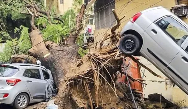 उत्तर भारत में बारिश व आंधी का कहर, सात लोगों की मौत