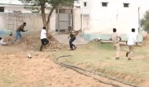 झुंझुनूं-फलोदी में लेपर्ड से दहशत, किए रेस्क्यू