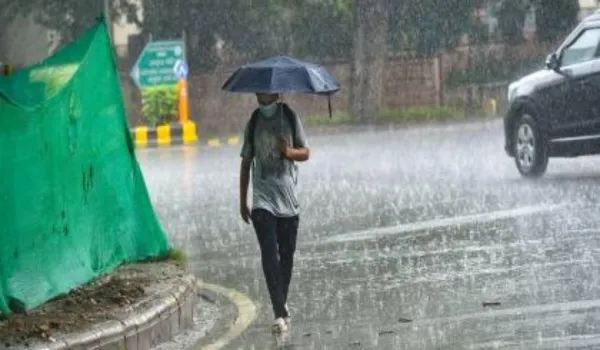टिटहरी ने ऊंचाई पर दिए 4 अंडे, यानी चार महीने जमकर बरसेंगे मेघ