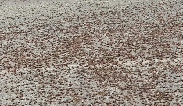 गर्मी से राहत... अब तूफान का खतरा