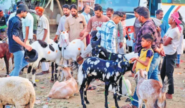 अकीदत और कुर्बानी के साथ मनाई जाएगी बकरीद