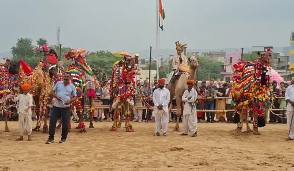ढोल की थाप पर थिरके ऊंट, जीता सैलानियों का दिल