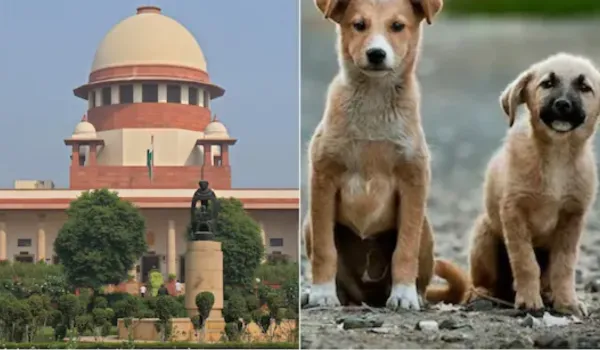 संस्थागत क्षेत्रों और राजमार्गों से आवारा कुत्ते व जानवर हटाएं: SC