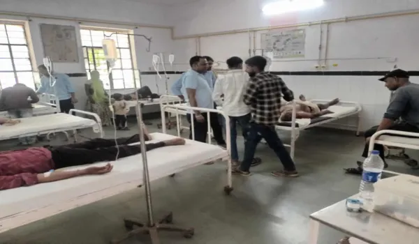 ज्वारा विसर्जन के जुलूस पर मधुमक्खियों का हमला, 90 घायल