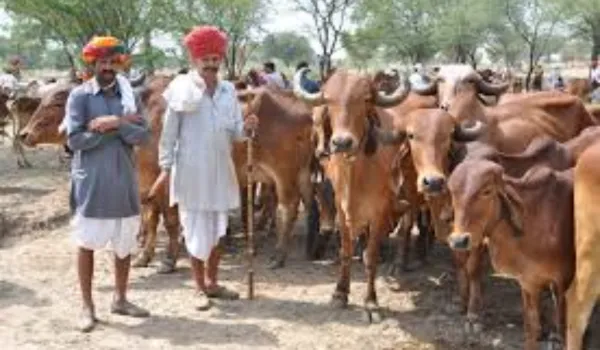 हजारों दावे अटके... सिर्फ 696 को ही मुआवजा