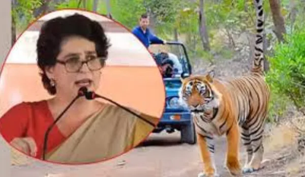 प्रियंका गांधी वाड्रा रणथंभौर पहुंचीं, दो दिन टाइगर सफारी का आनंद लेंगी