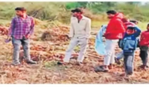 कुराबड़ में लेपर्ड ने किया गाय का शिकार, दहशत में ग्रामीण