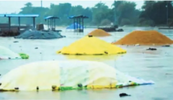 चक्रवात से प्रदेश में रिकार्ड बारिश... तापमान में भारी गिरावट