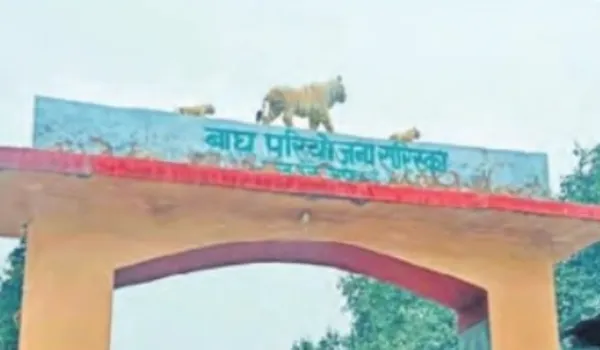 सरिस्का बफर जोन का दायरा बढ़ेगा, केंद्र सरकार को भेजा प्रस्ताव