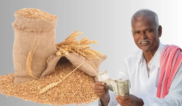 कुसुम पर ₹675 की बढ़ोतरी गेहूं का MSP ₹25 बढ़ा