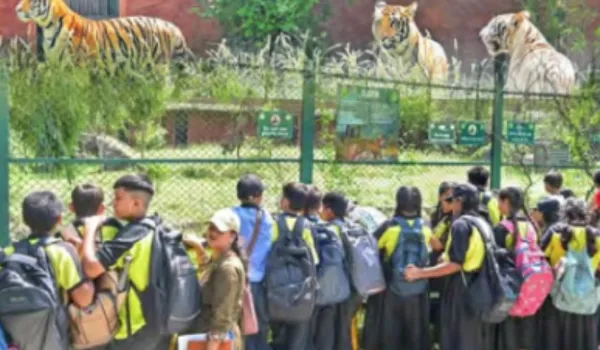 टाइगर-लॉयन की दहाड़ के साथ फिर लौटी नाहरगढ़ की रौनक