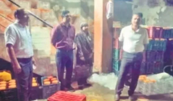 अचार की टंकियों में छिपकलियां, मच्छर-मकड़ियां और मिले जाले