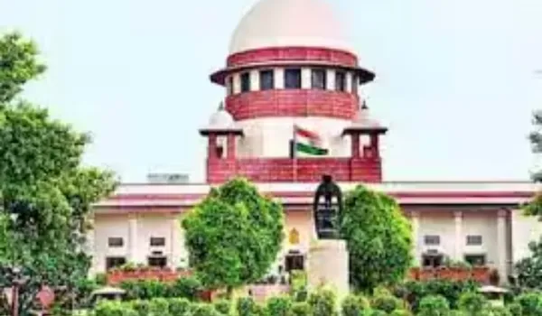 'कानून बनाने में राज्यपालों की भूमिका नहीं'