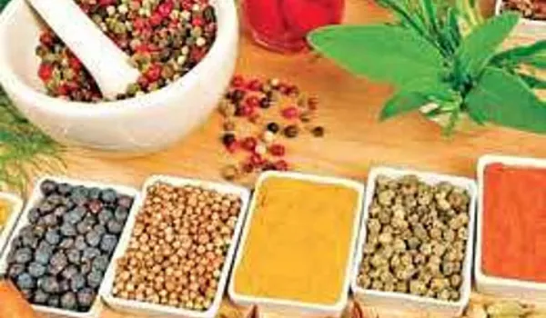 मसाला कॉन्क्लेव में सीएम करेंगे 226 करोड़ के निर्माण कार्यों का लोकार्पण