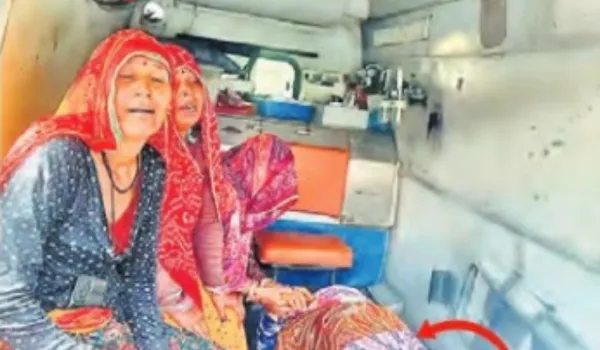 बाघ ने महिला श्रमिक को बनाया शिकार, मौत